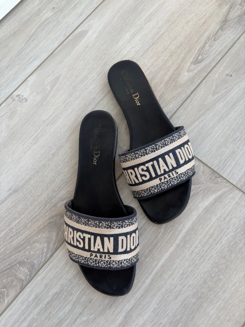 Dior Slide Mules